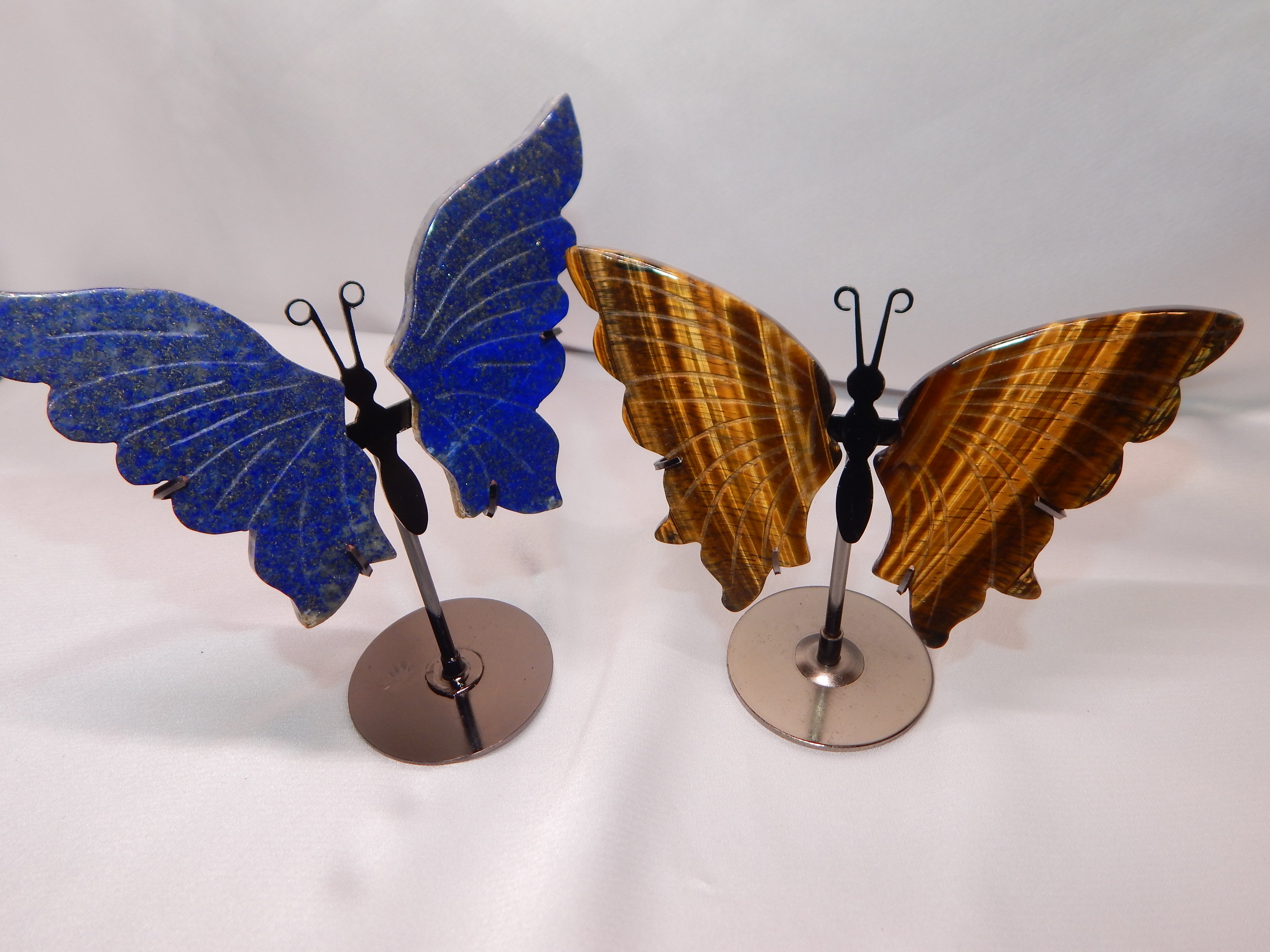 Translation missing: en.BUTTERFLIES: BUTTERFLIES