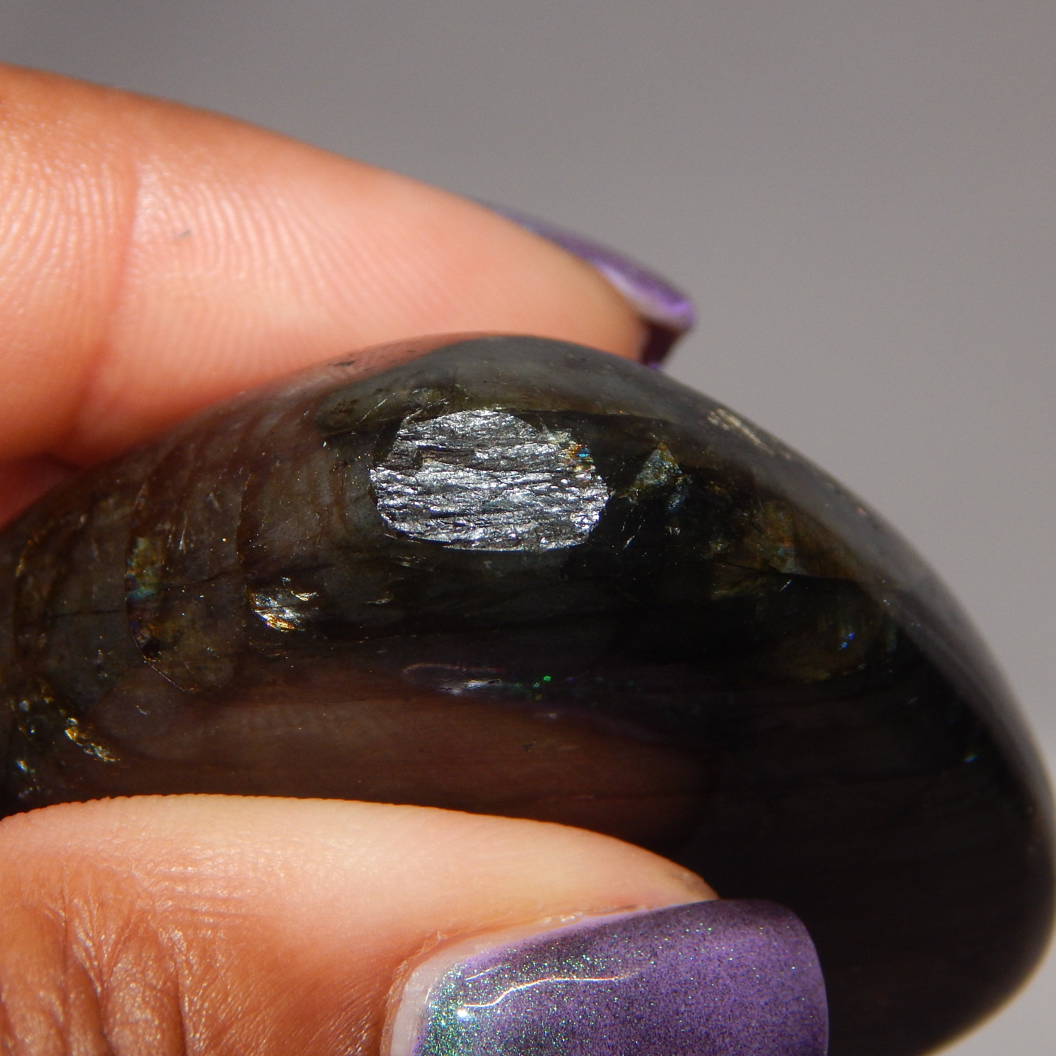 Labradorite Freeform - LF3