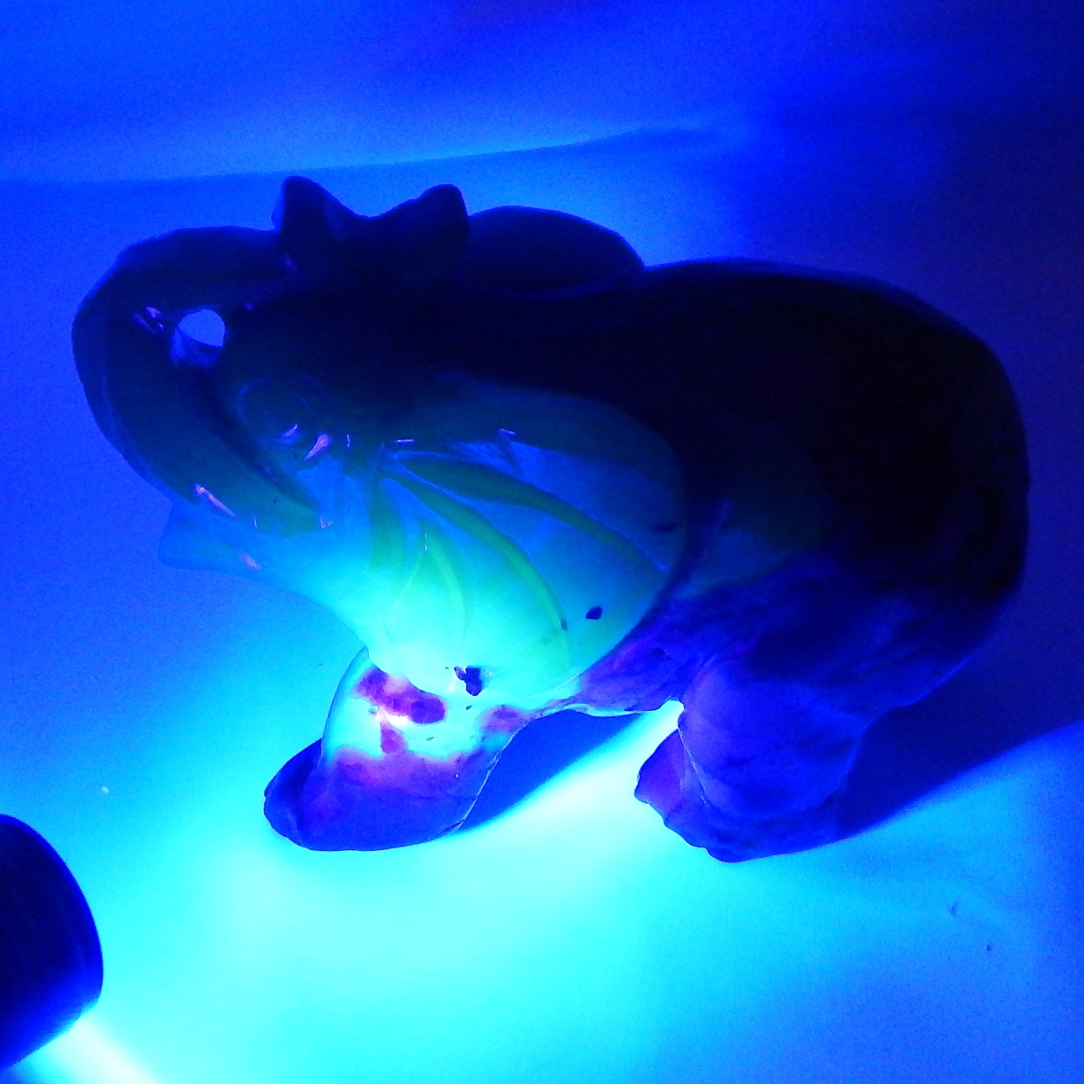 Volcano Agate Elephant