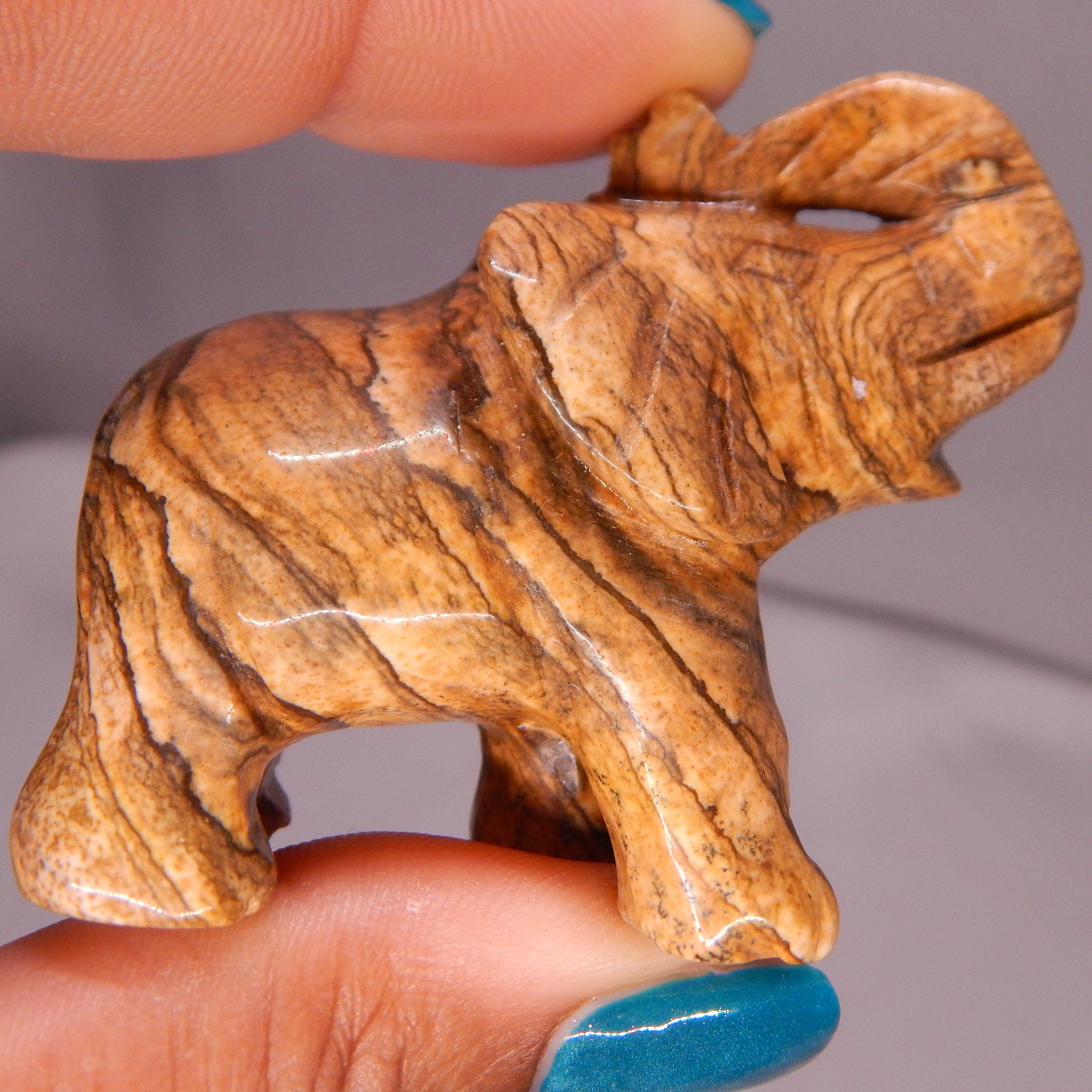 Picture Jasper Elephant