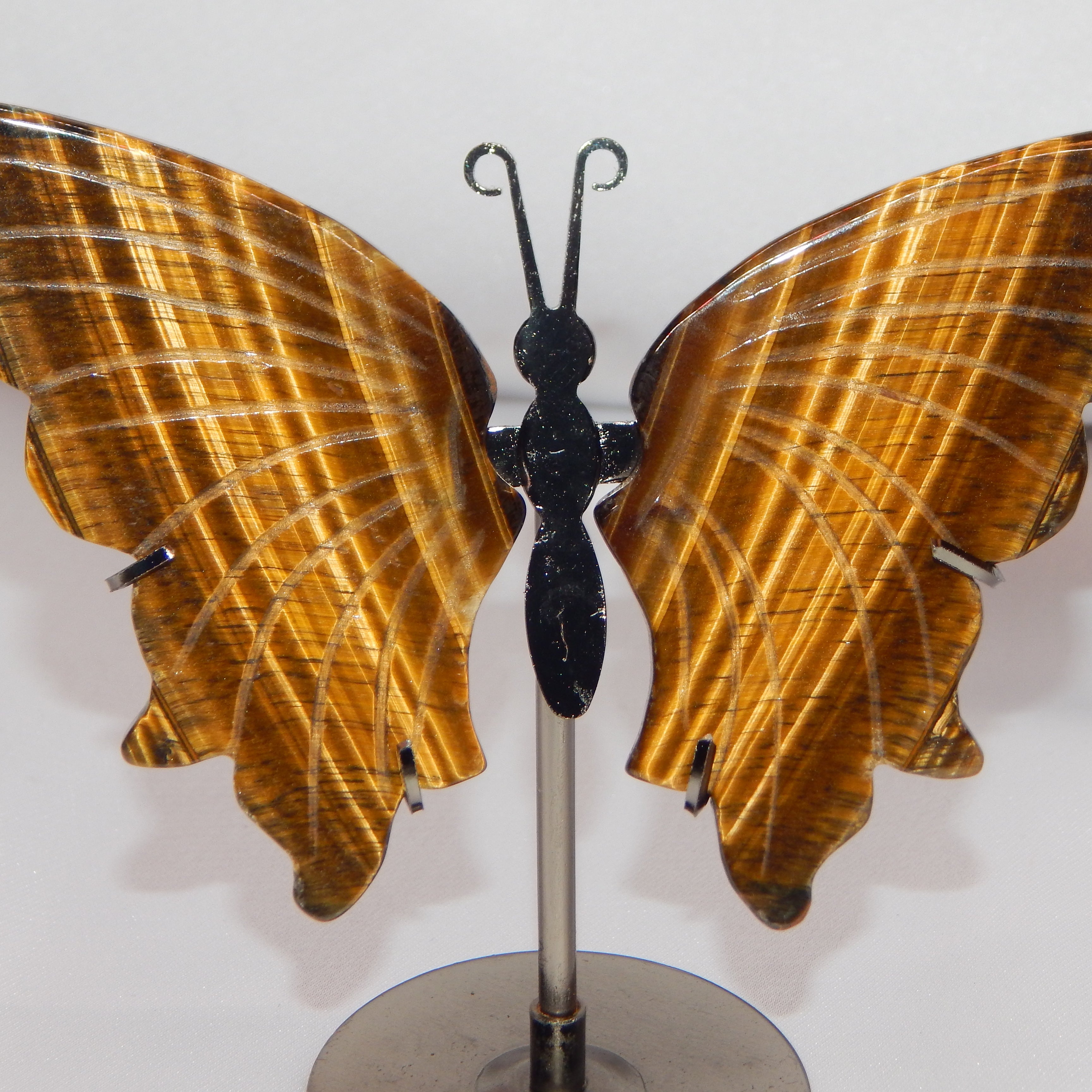 Yellow Tiger's Eye Butterfly Wings on dark bronze stand