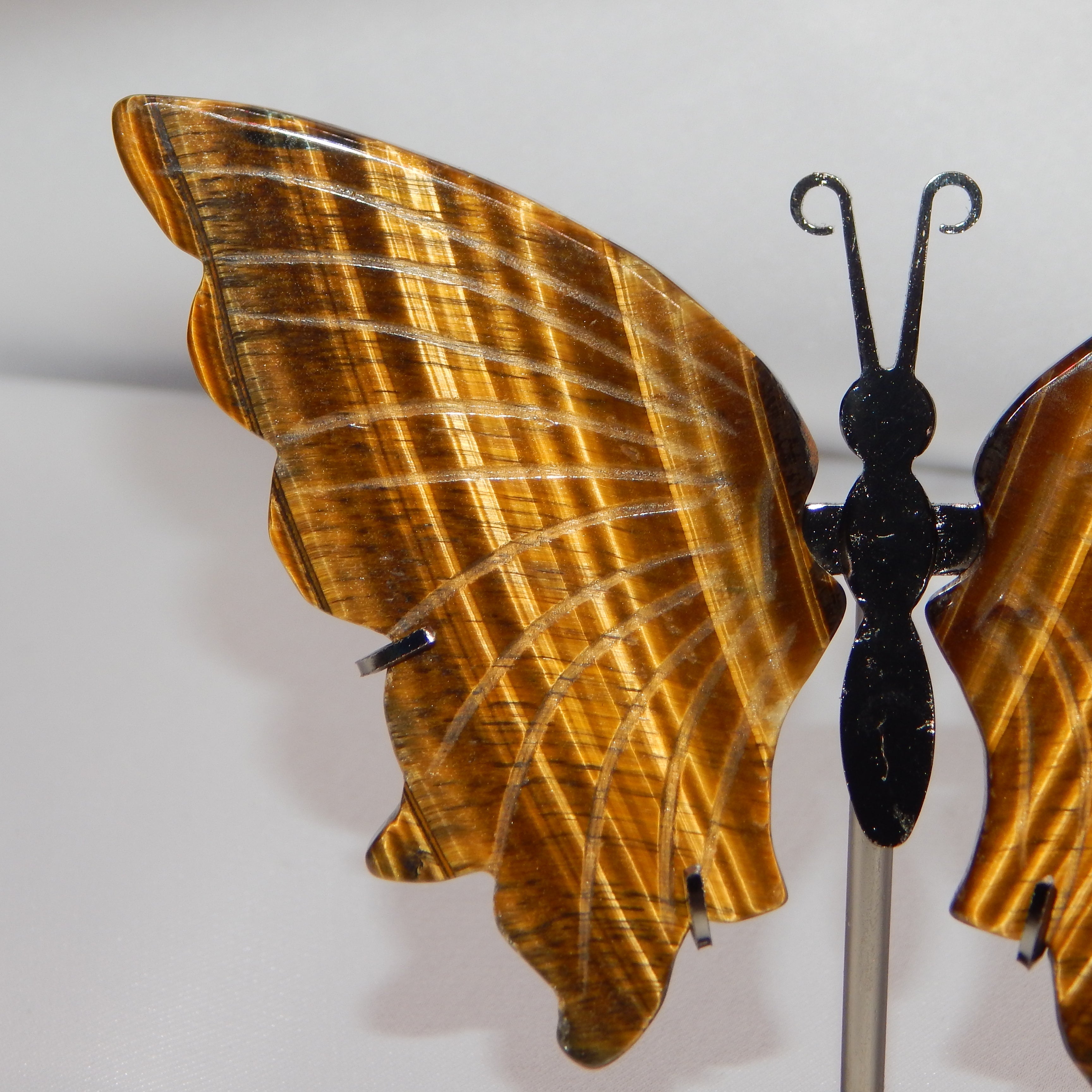 Yellow Tiger's Eye Butterfly Wings on dark bronze stand