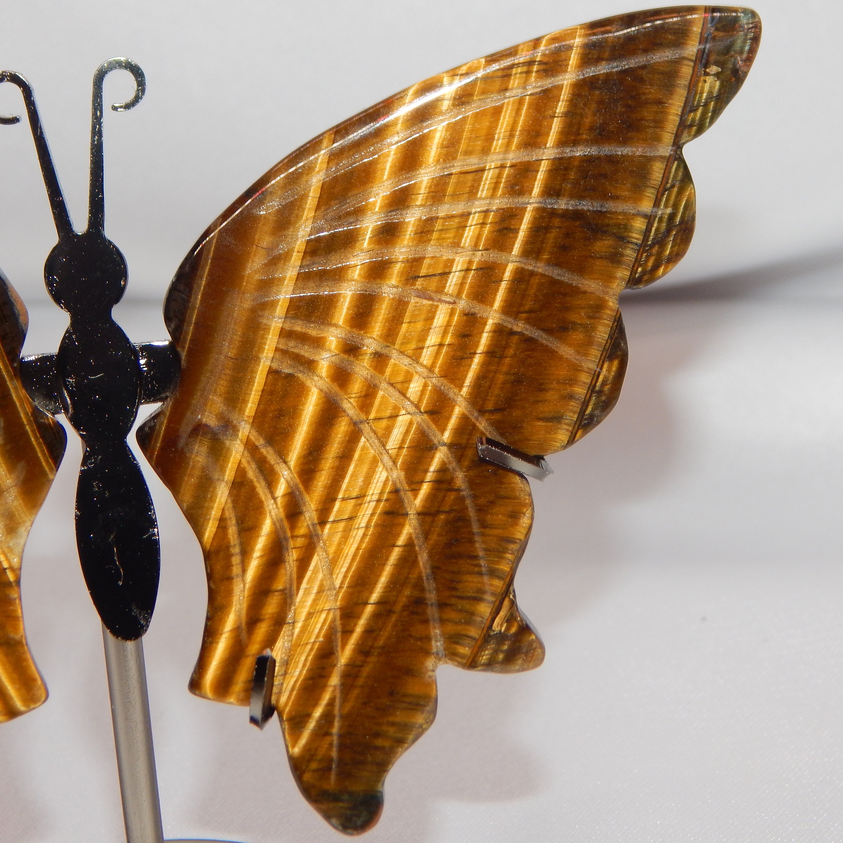 Yellow Tiger's Eye Butterfly Wings on dark bronze stand