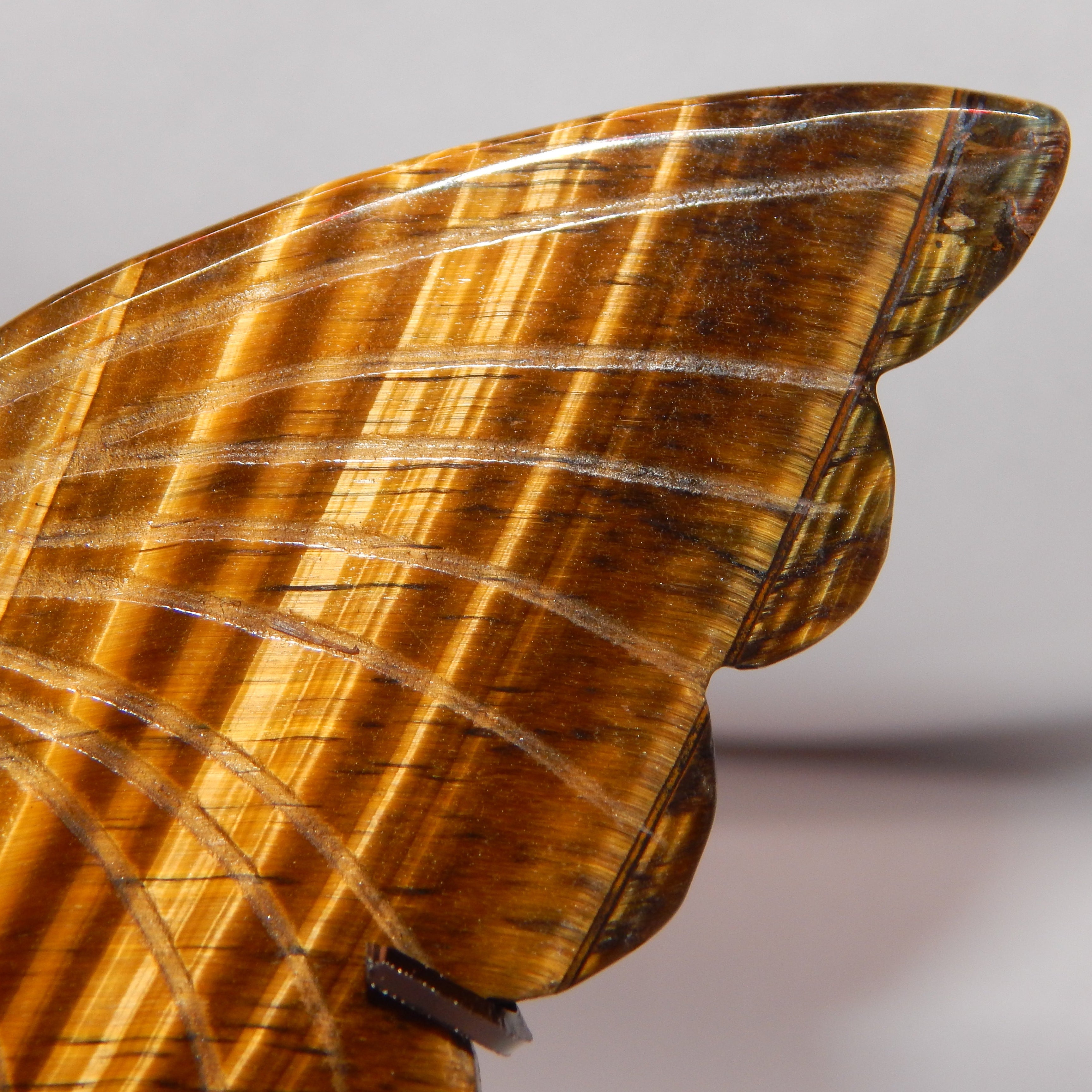 Yellow Tiger's Eye Butterfly Wings on dark bronze stand