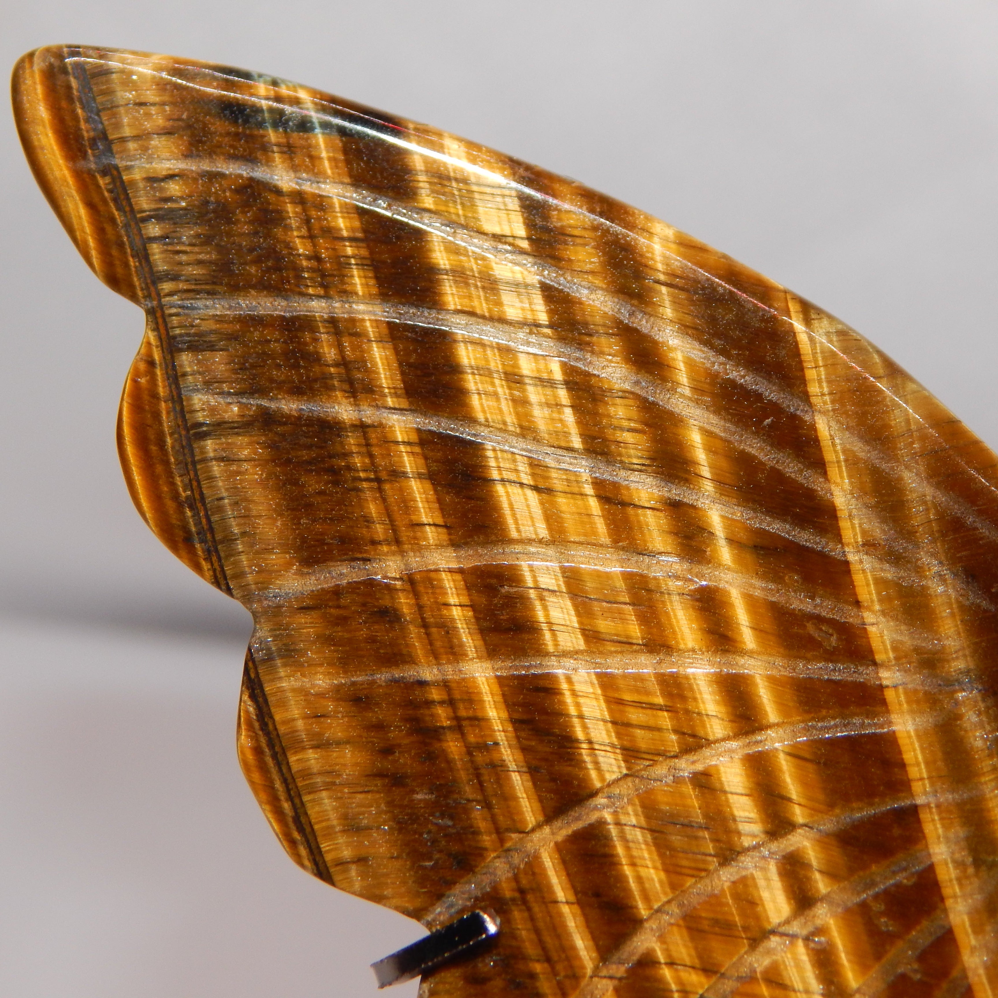 Yellow Tiger's Eye Butterfly Wings on dark bronze stand