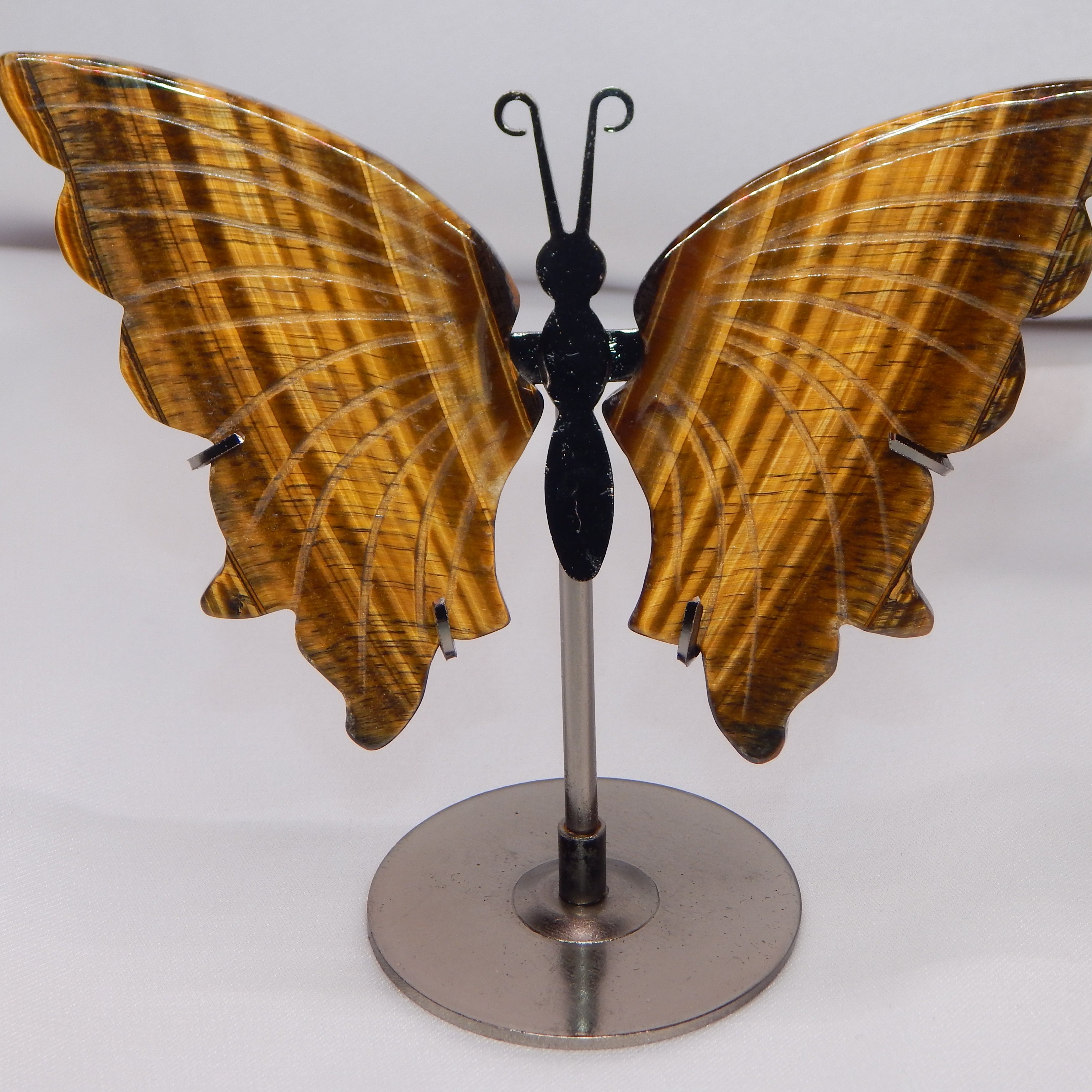 Yellow Tiger's Eye Butterfly Wings on dark bronze stand