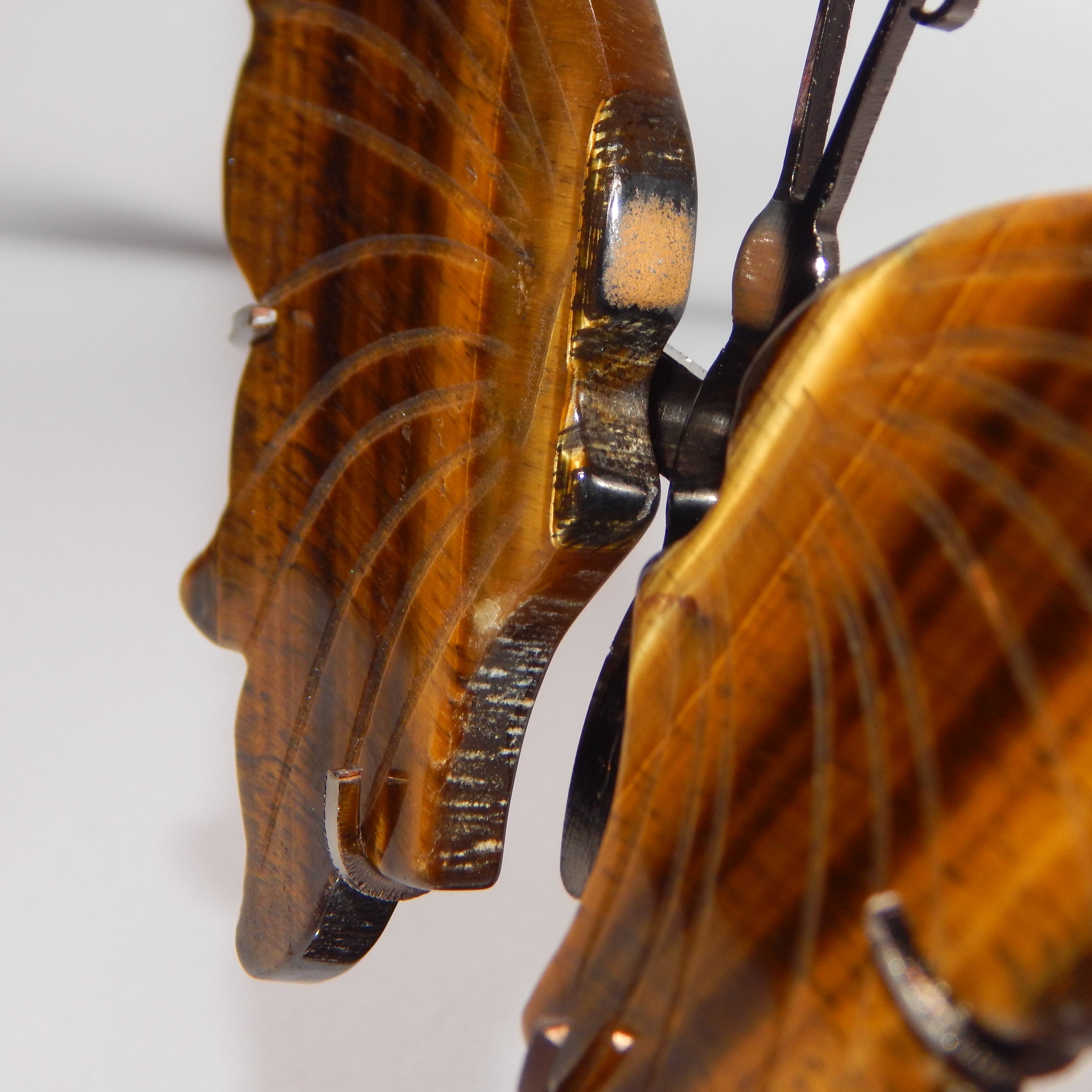 Yellow Tiger's Eye Butterfly Wings on dark bronze stand