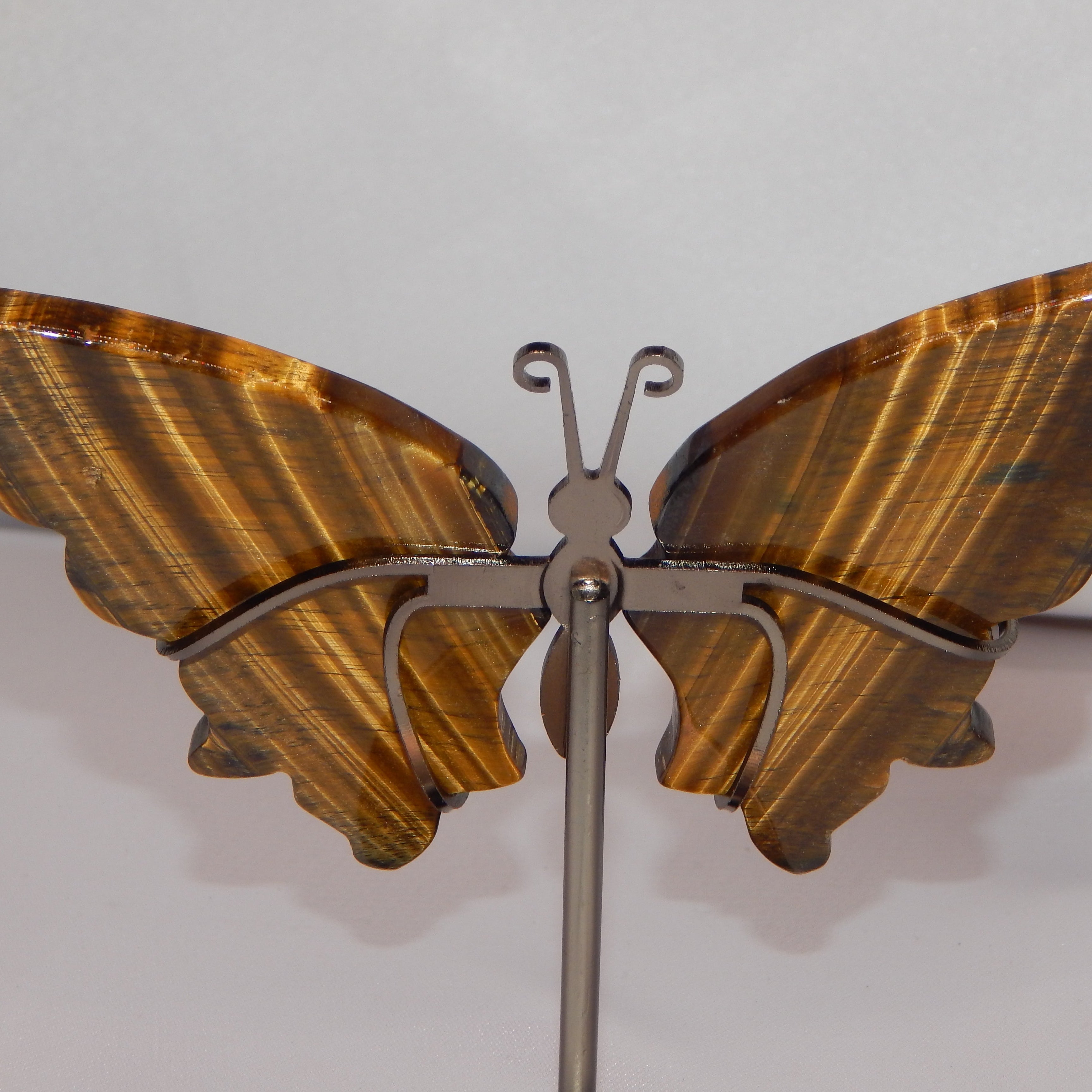 Yellow Tiger's Eye Butterfly Wings on dark bronze stand