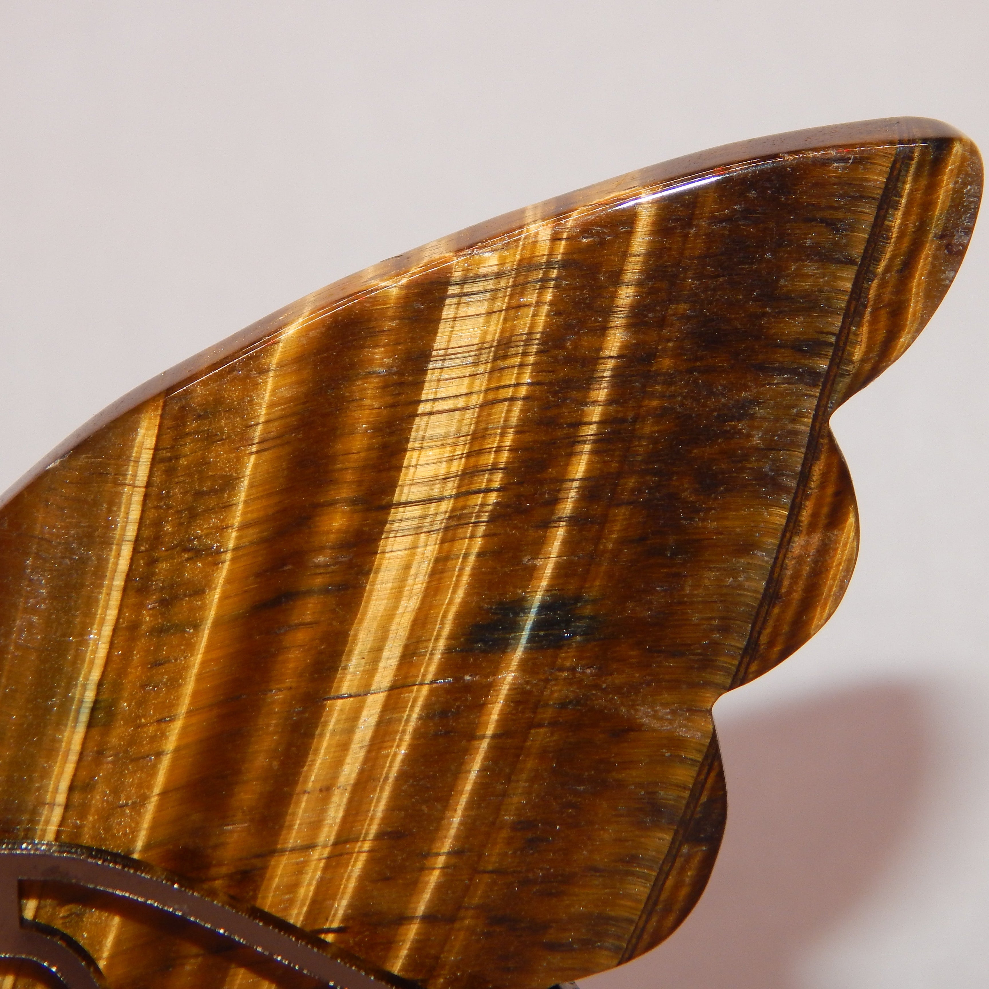 Yellow Tiger's Eye Butterfly Wings on dark bronze stand