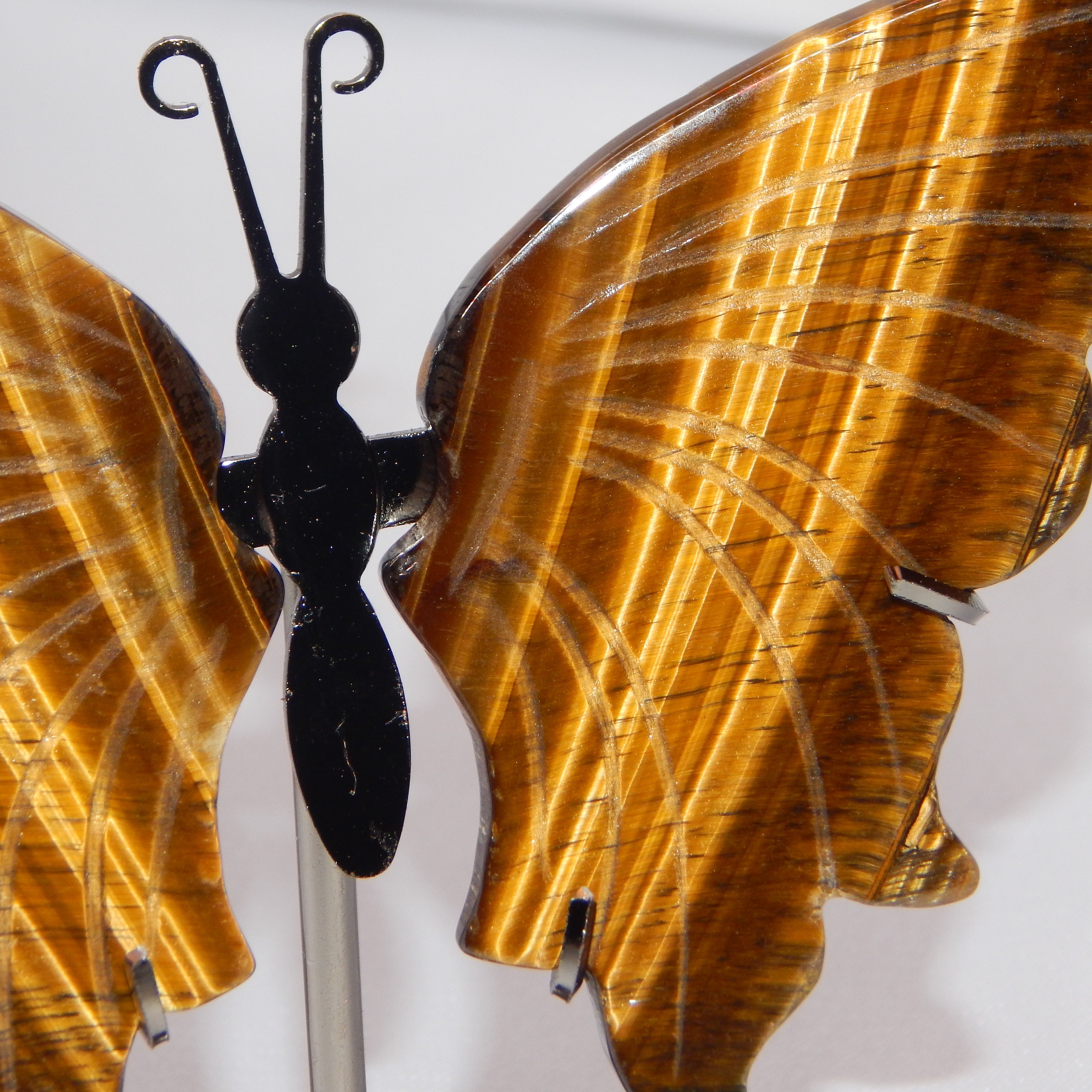 Yellow Tiger's Eye Butterfly Wings on dark bronze stand