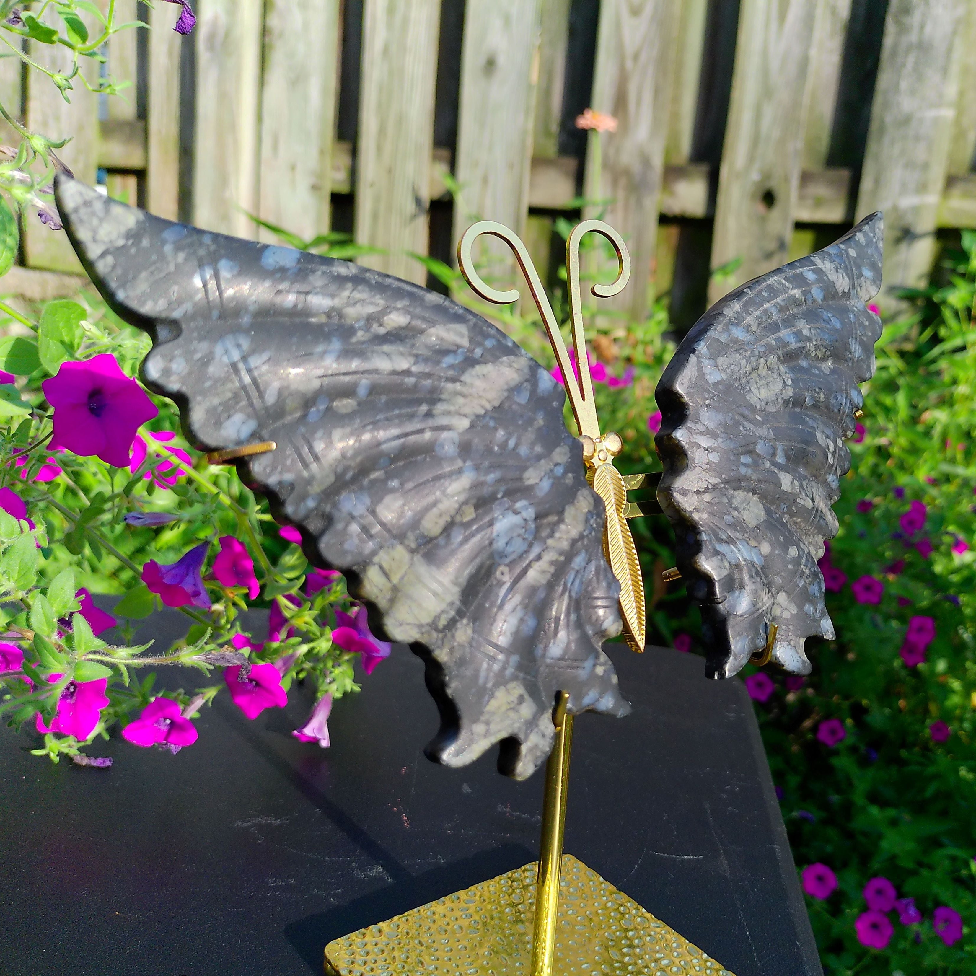 Large Llanite Butterfly Wings on gold stand