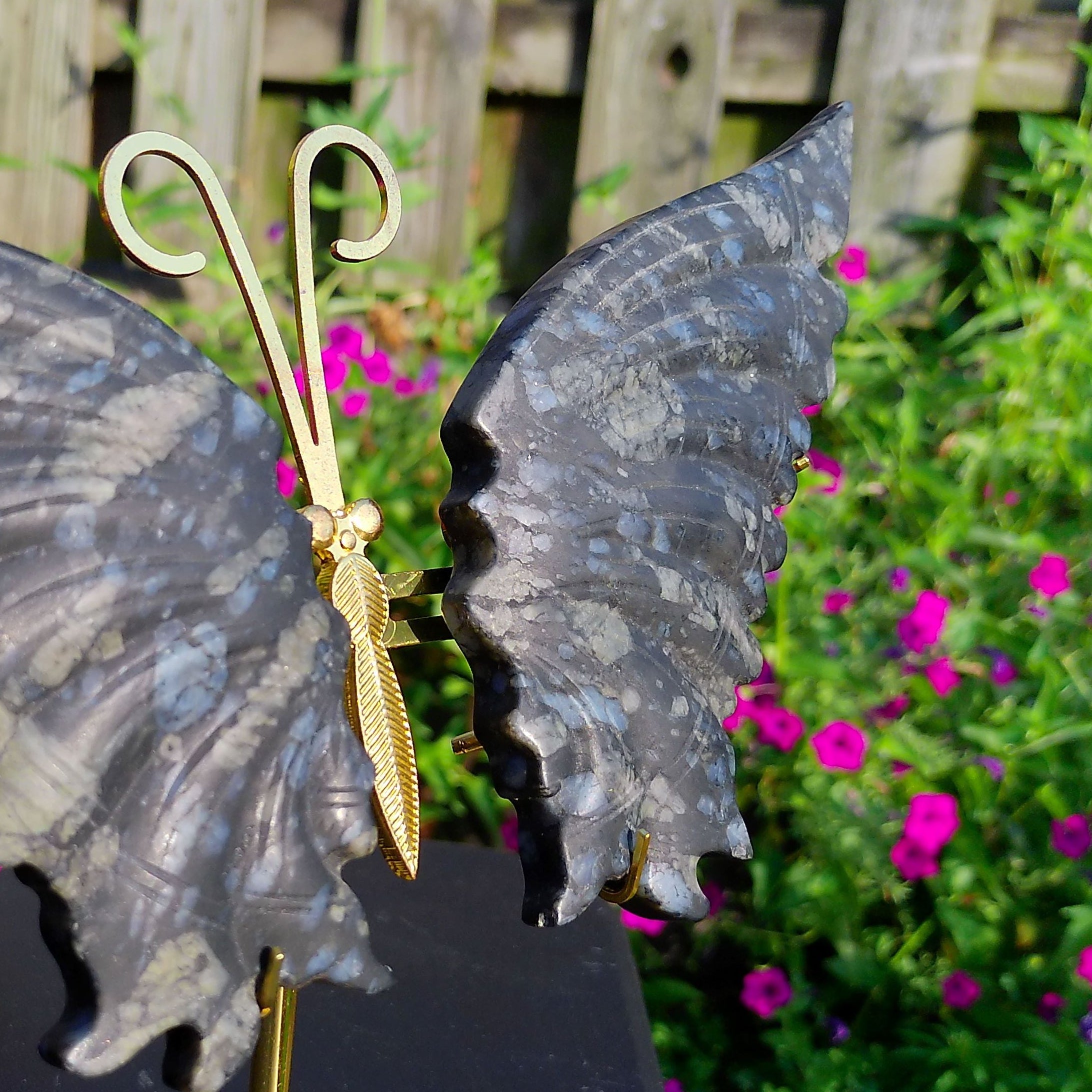 Large Llanite Butterfly Wings on gold stand