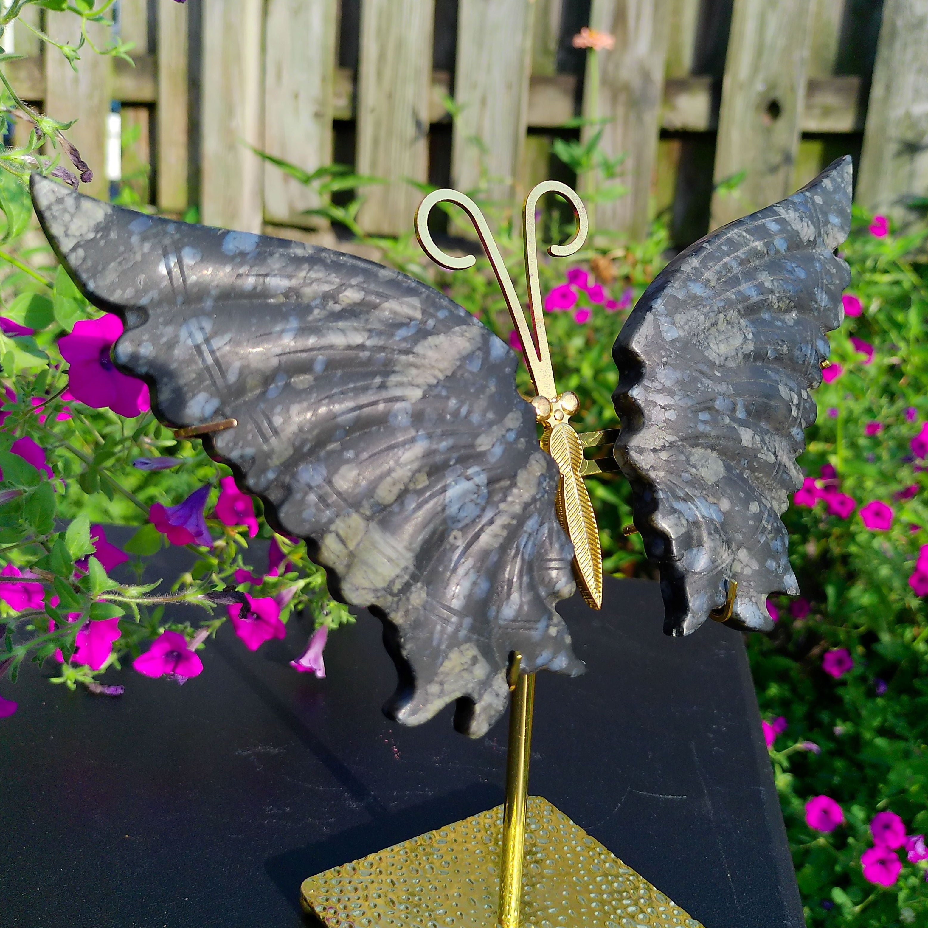 Large Llanite Butterfly Wings on gold stand