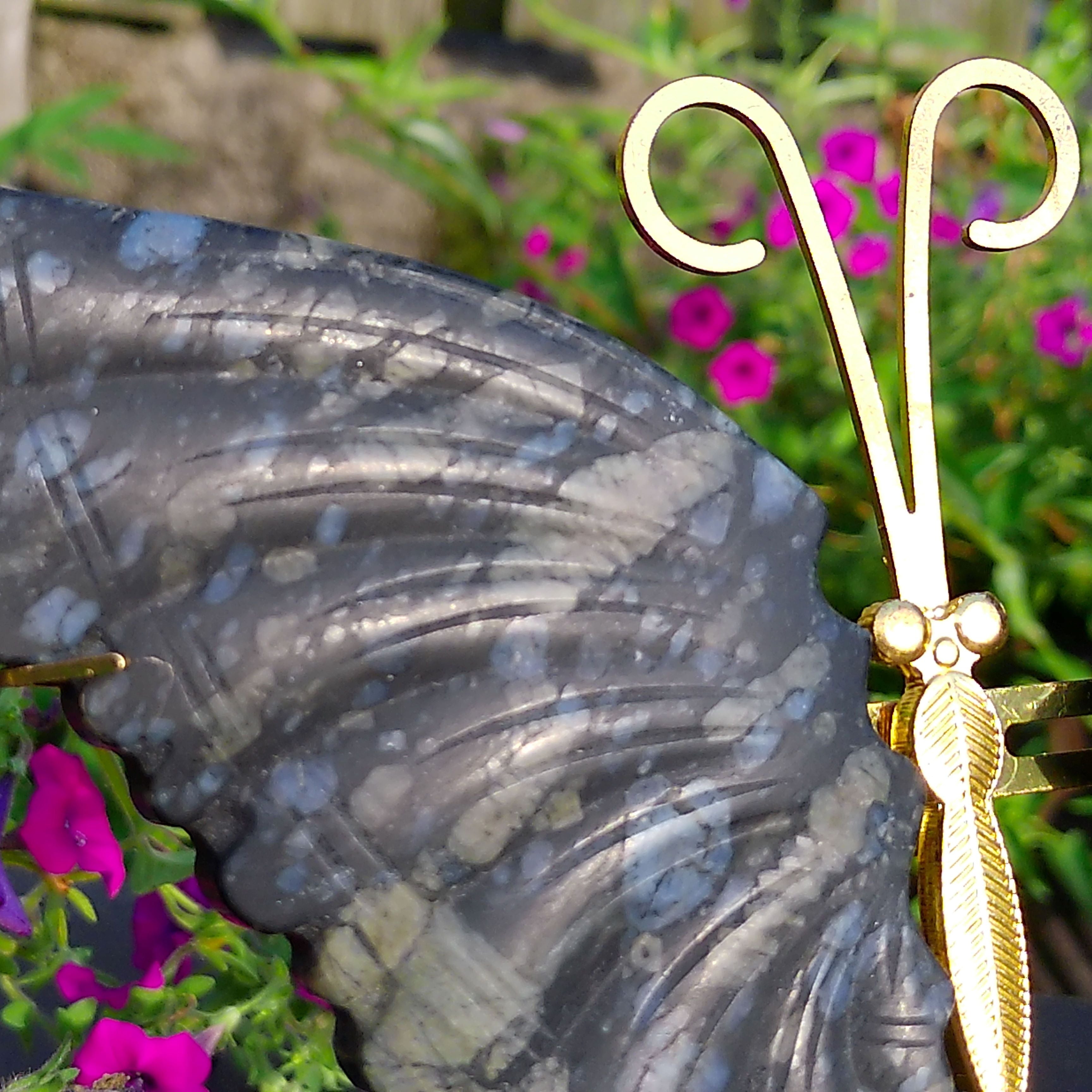 Large Llanite Butterfly Wings on gold stand